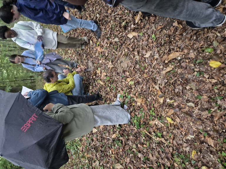 sortie-en-foret-6e-saint-louis