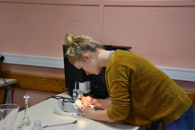 2017 NDSL 2nde  Escape game 0005