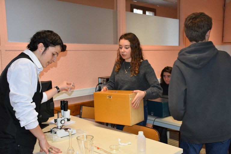 2017 NDSL 2nde  Escape game 0015